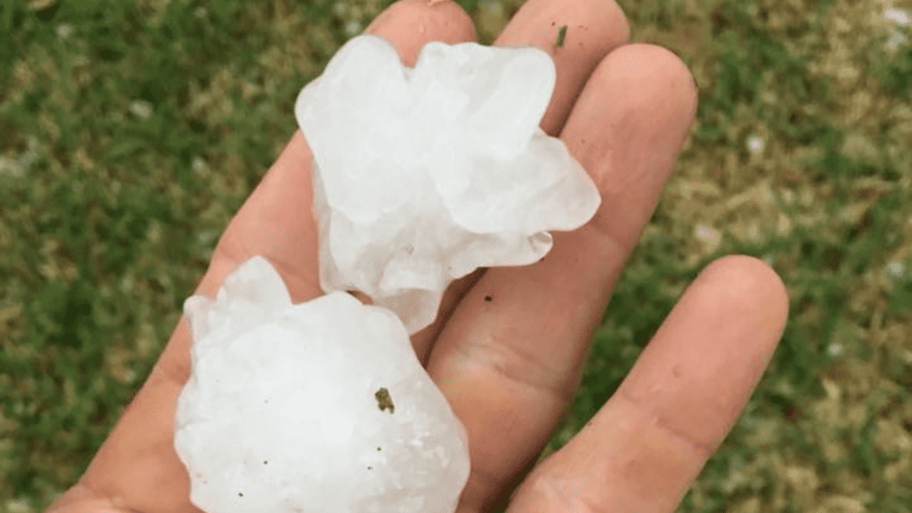 A hand holds two large, jagged pieces of hail against a lush, grassy backdrop. Its a perfect reminder to check that top rated fencing company nearby for any potential damages.