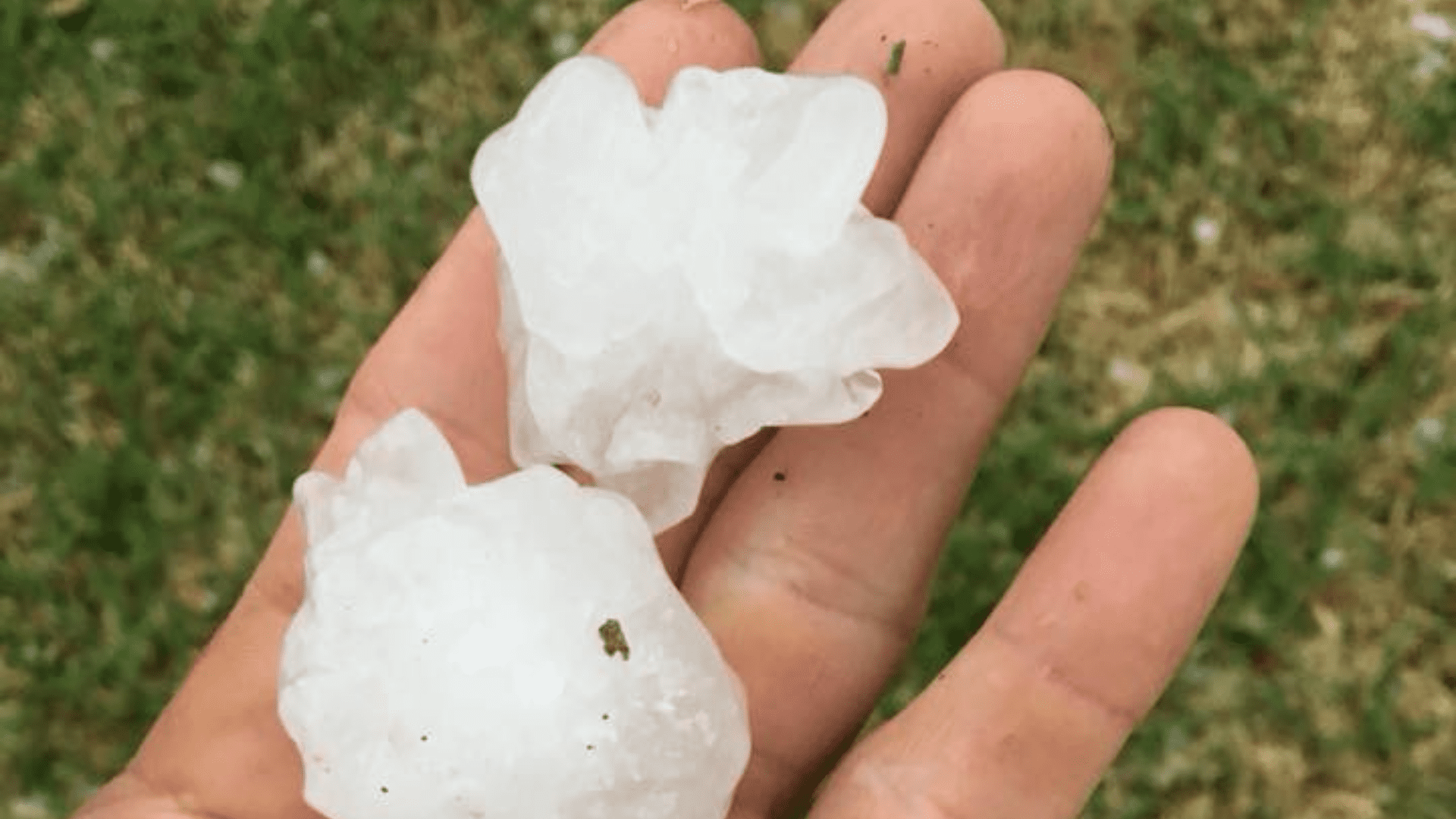A hand holds two large, jagged pieces of hail against a lush, grassy backdrop. Its a perfect reminder to check that top rated fencing company nearby for any potential damages.